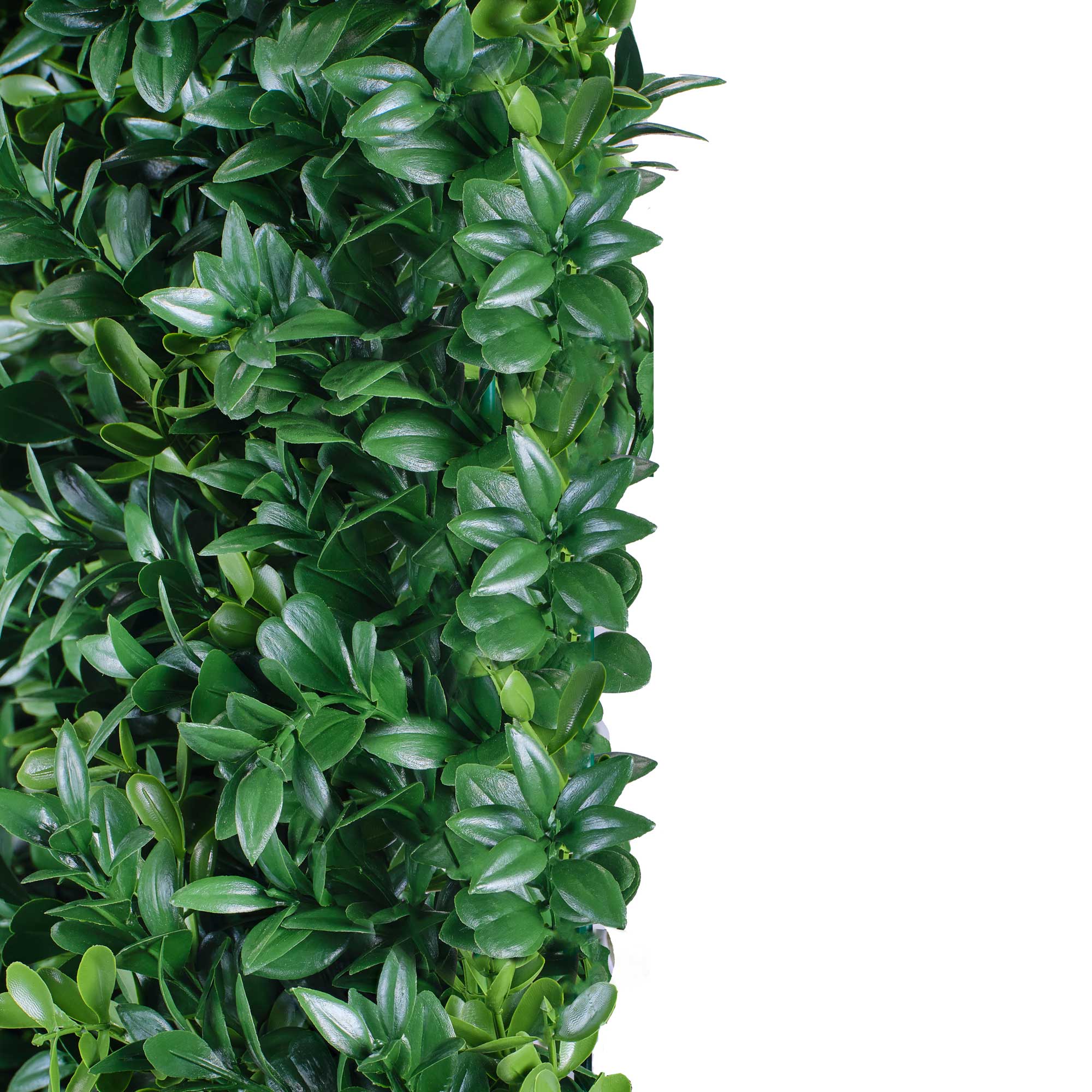 PROFILE PANEL CLOSEUP