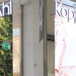 Boosting Retail Ambiance with Eye-Catching Green Wall Displays