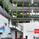 Bring the Outdoors In: Creative Ways to Use Trailing Faux Foliage in Office Spaces